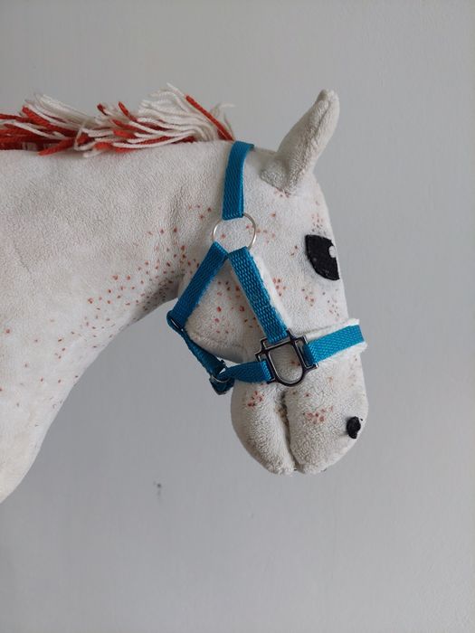 Kantar z okuciami hobby horse