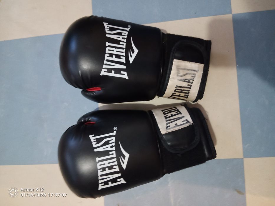 Luvas de boxe Everlast