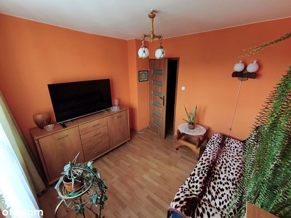 Zdjęcie 6