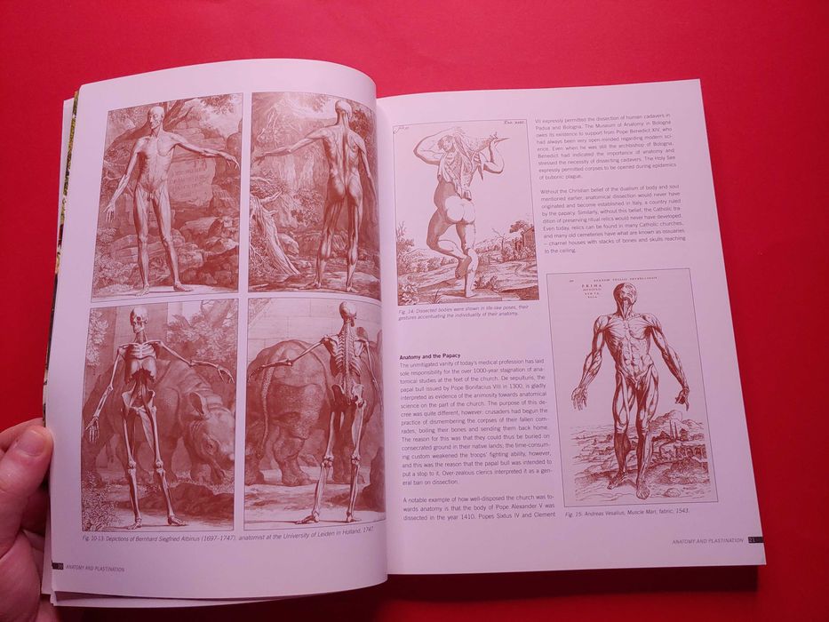 Книга «Вселенная тела» BODY WORLDS Gunther von Hagens