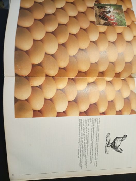 Cozinha Regional Portuguesa 1º Vol. CORTES VALENTE (Maria Odete)*