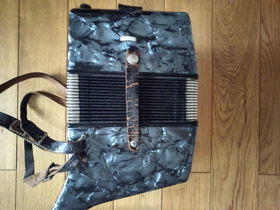 Аккордеон kingende taler