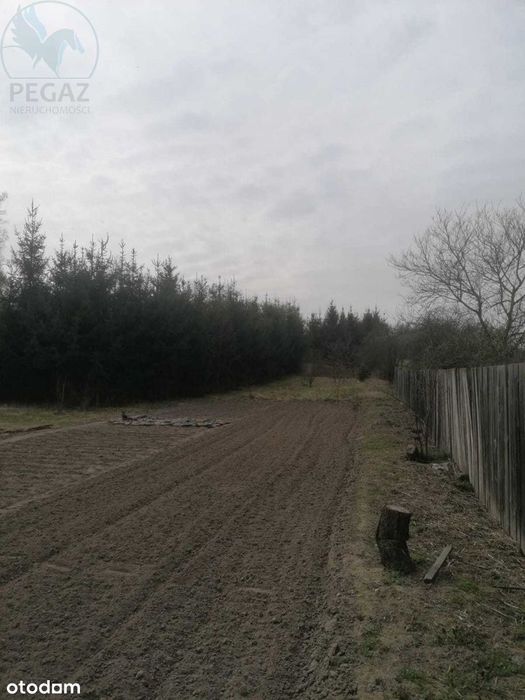 Działka Budowlana Nietoperek 5km od Międzyrzecz