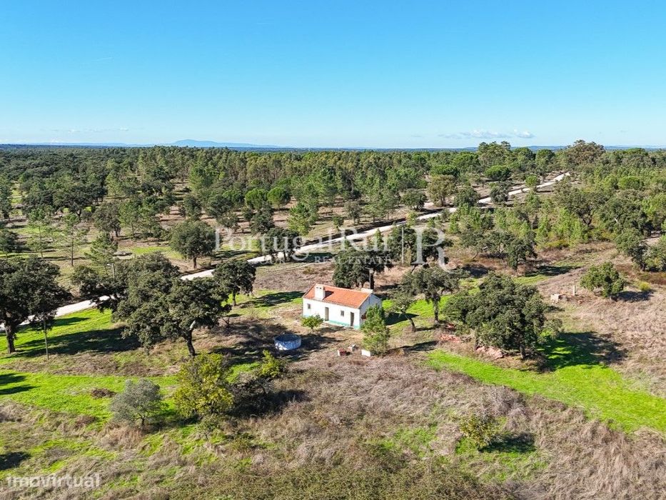Quinta de 20ha com projeto para Turismo Rural a 1h de Lisboa