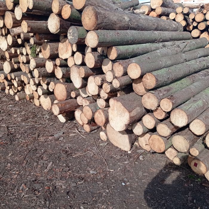 Drewno sosna świerk dąb opał deski kominkowe obladry zrzyny trociny