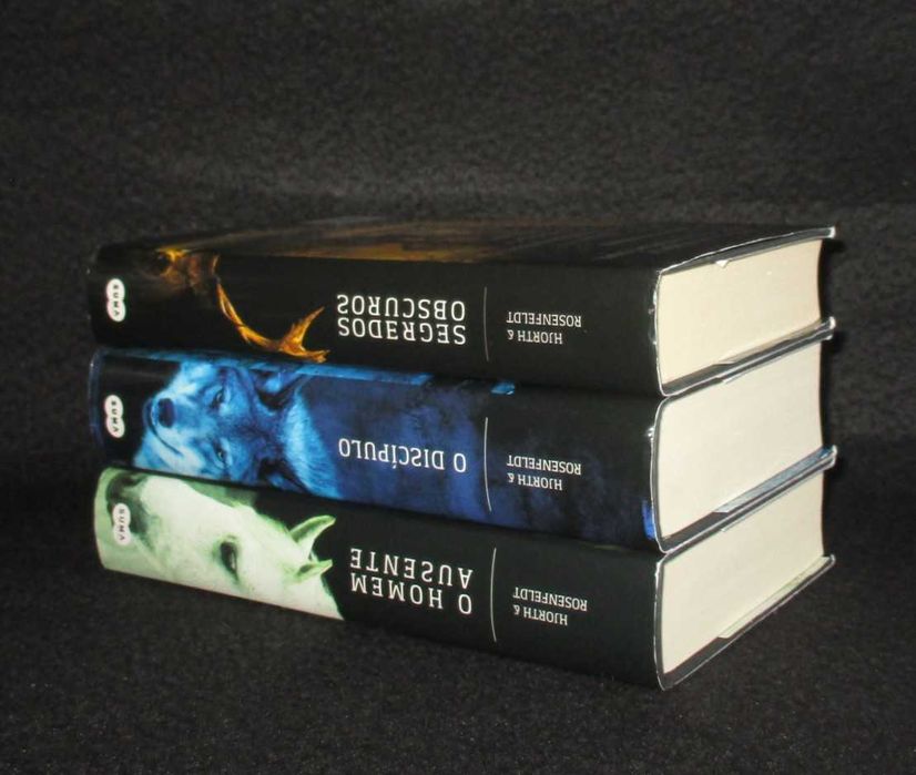 Livros Série Sebastian Bergman Hjorth & Rosenfeldt 3 Volumes Capa Dura