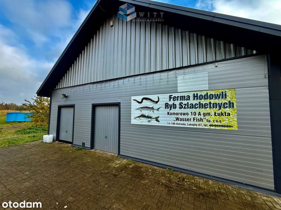 Hala produkcyjno-magazynowa na 1,5 ha