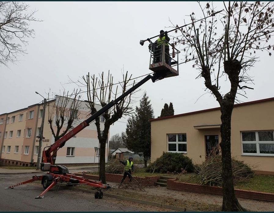 Wycinka drzew, arborysta, przycinanie koron, metodą alpinistyczną