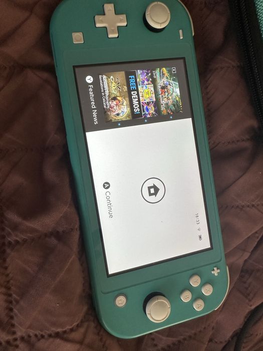 Nintendo switch lite
