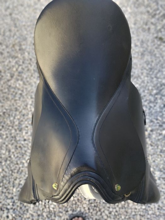 Venda de cela para cavalos