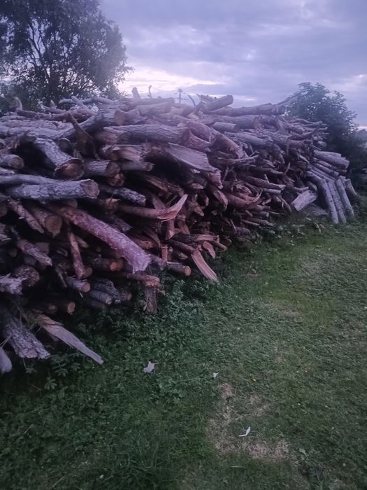 Drewno opałowe sosna/dąb