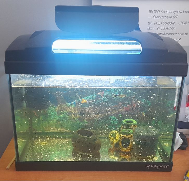 Akwarium 25 l rybki