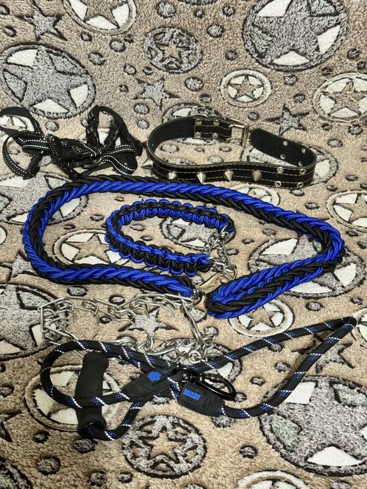 Амуниция для собак