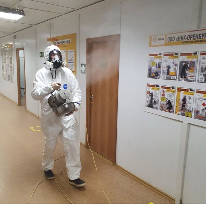 Травля блох клопов тараканов мышей крыс сколопендры. Удаление плесени