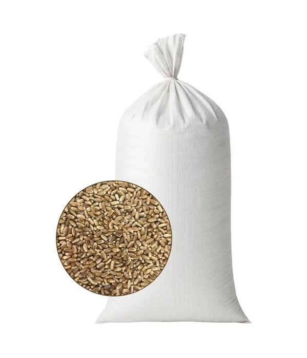 Насіння пшениці і ячменю