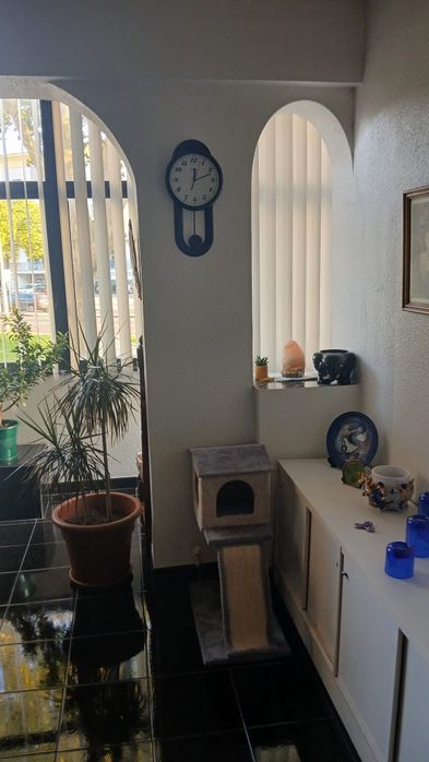 Luminoso T1 em Amora