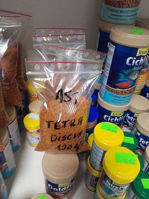 Tetra discus na wagę 100g