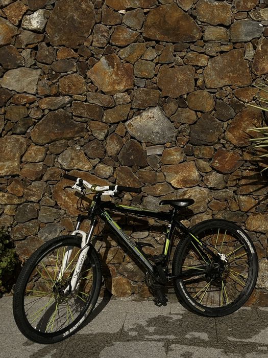 Bicicleta weeling