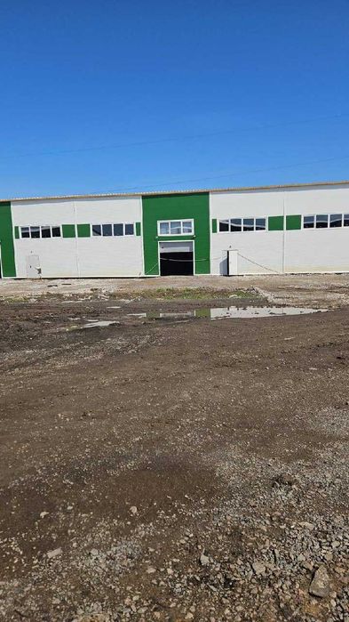 Продажа склада с. Святопетровское 1730 м.кв.