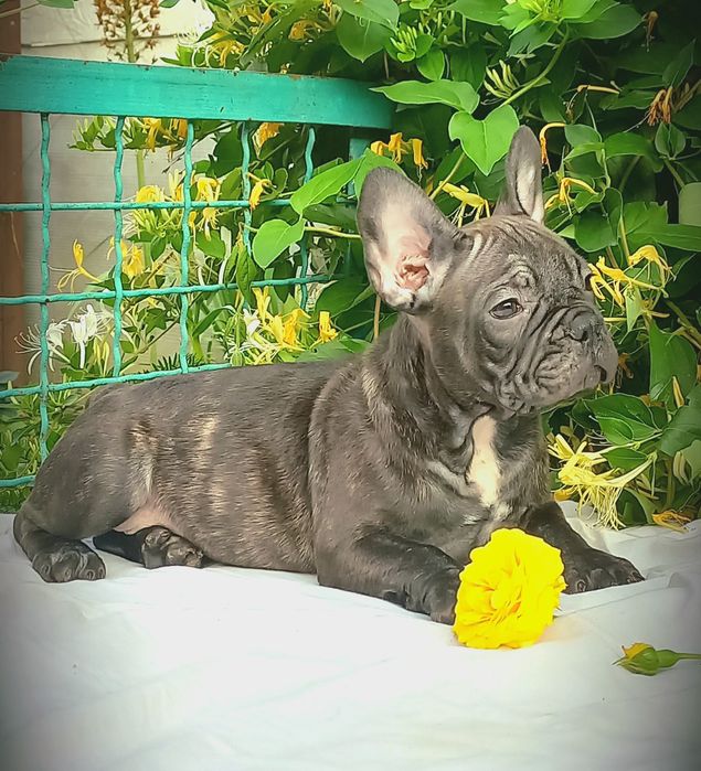 Мальчишка ждет семью