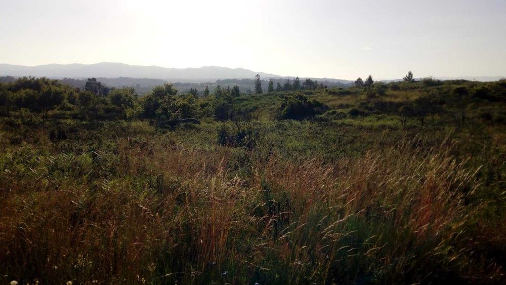 Quinta da Póvoa da Medronhosa, Repeses e São Salvador, Viseu