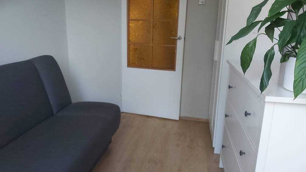 3 pokojowe mieszkanie na wynajem