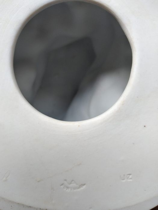 Águia Americana, Vista Alegre