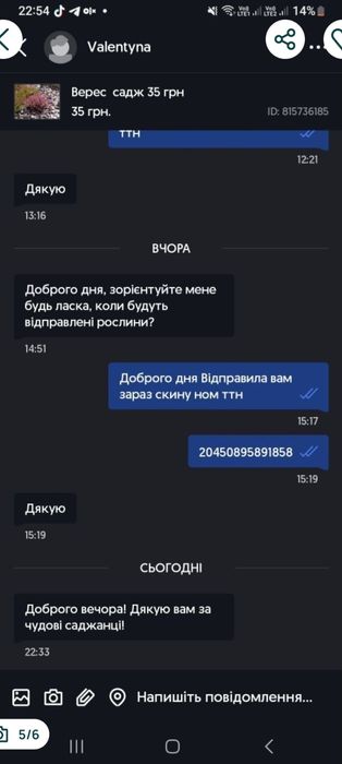 Верес , вереск  саджанці 40 грн