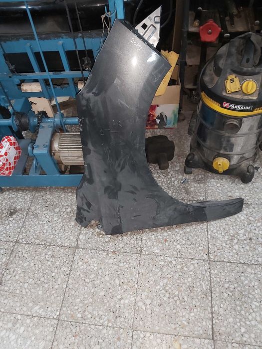 Guardalamas Citroen C4