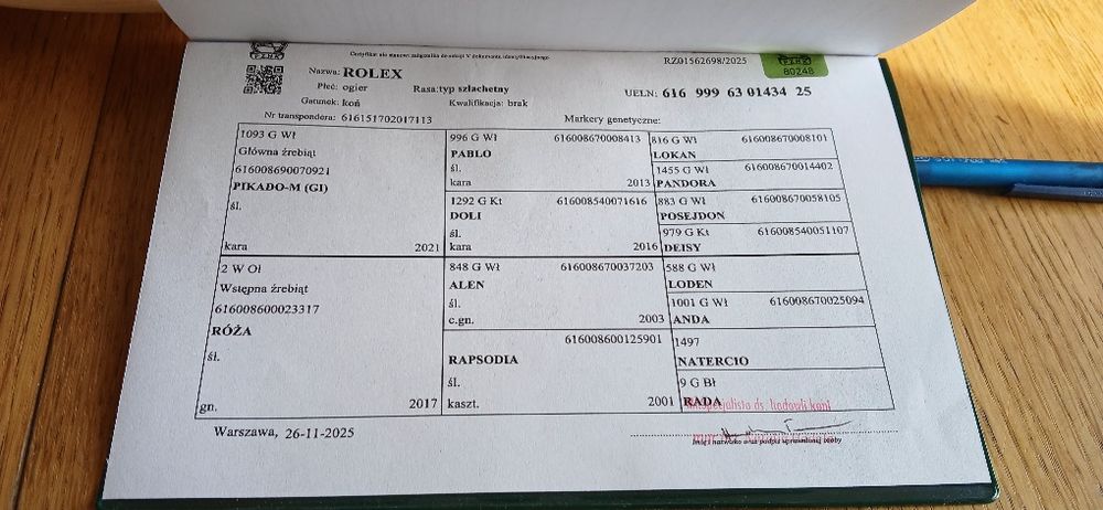 Ogier typ szlachetny