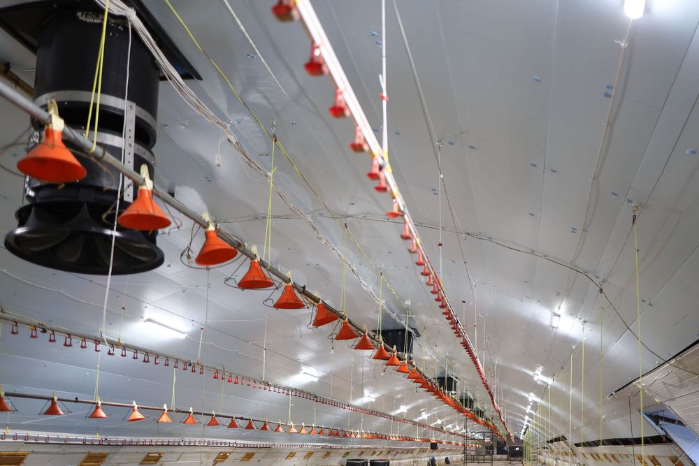 Błękitne Panele Izolacyjne Podsufitka Styrodur XPS AGRO 4,5,6,8,10,12