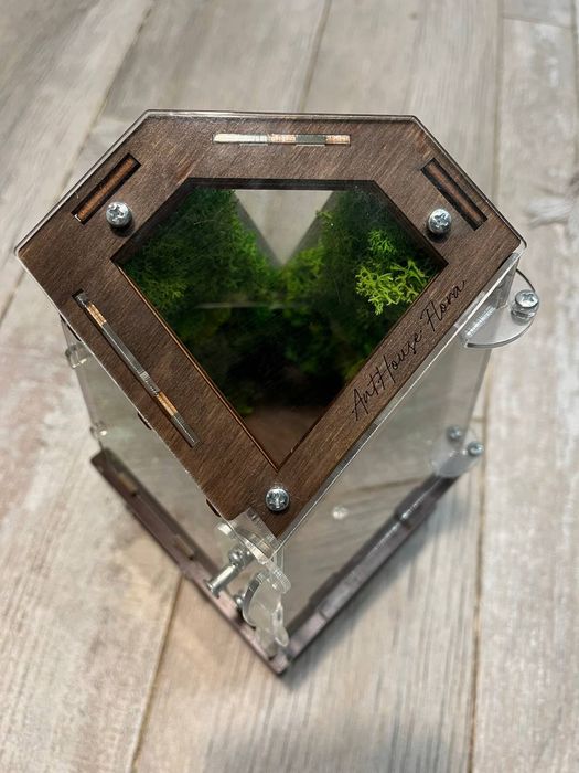 Вертикальна мурашина ферма Flora Plus (Wenge) — Повний комплект!