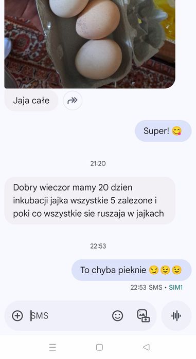 Pawie Jaja - Jajka Lęgowe