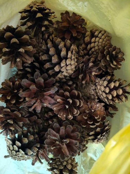 Artigos decorativos: jarras, garrafões, velas, pratos, pinhas