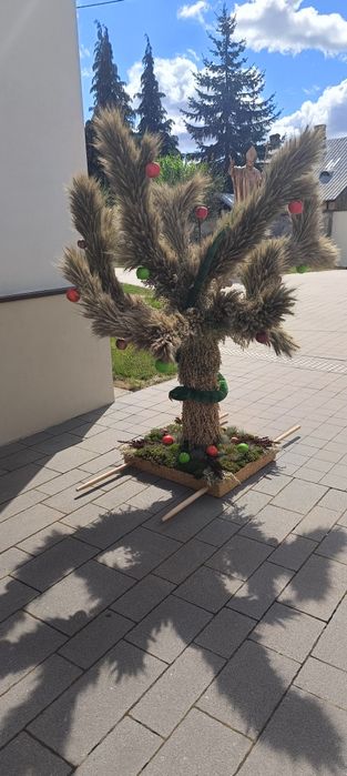 Wieniec dożynkowy