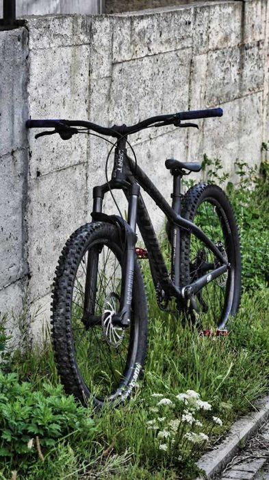 Dartmoor Hornet 2022