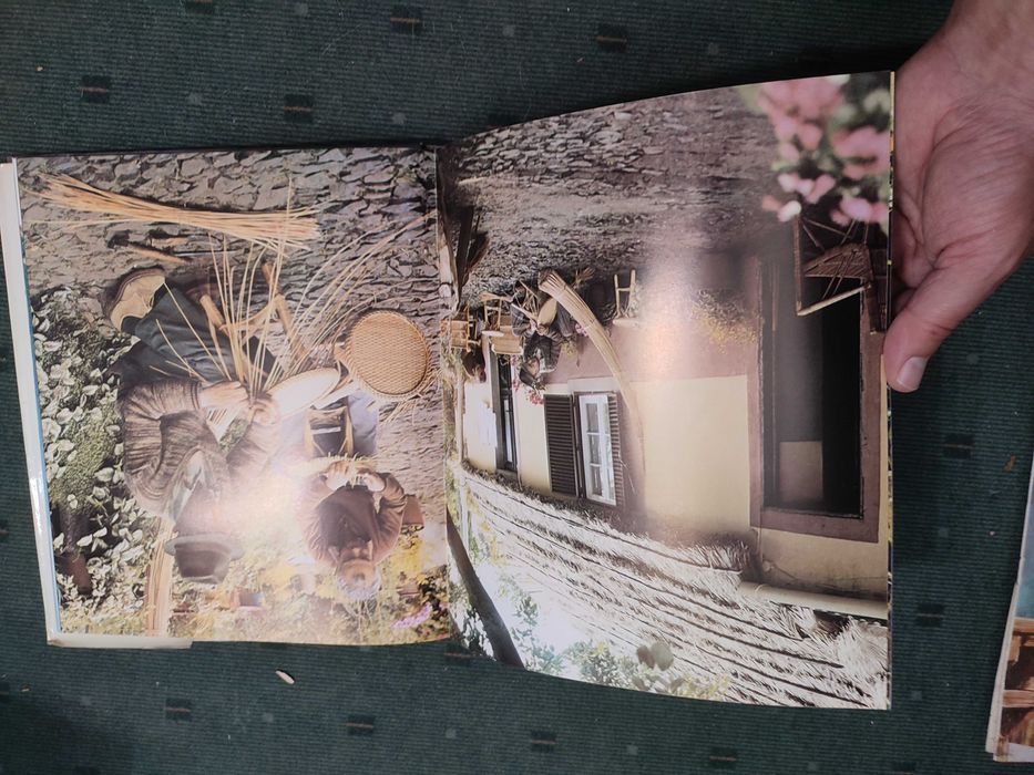 A Ilha da Madeira - Carlos Vitorino da Silva Barros