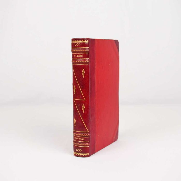 Livro "Novos Temas" - João Gaspar Simões