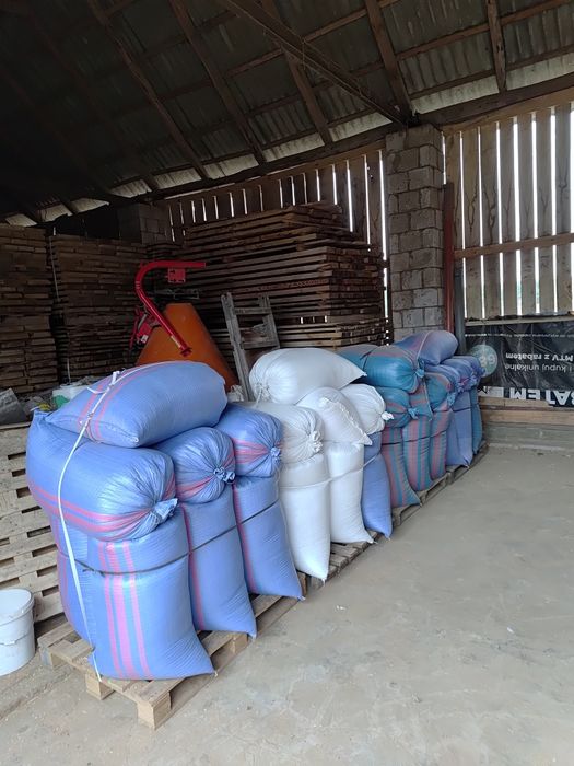 Owies czysty zbiór 2025 4t