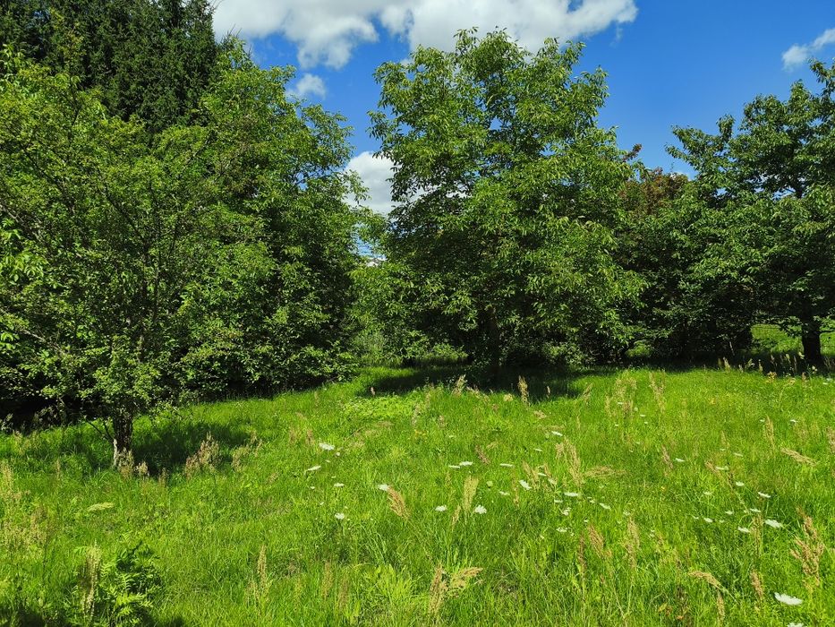 Działka do rekreacji, z dostępem do rzeki - Widok 3