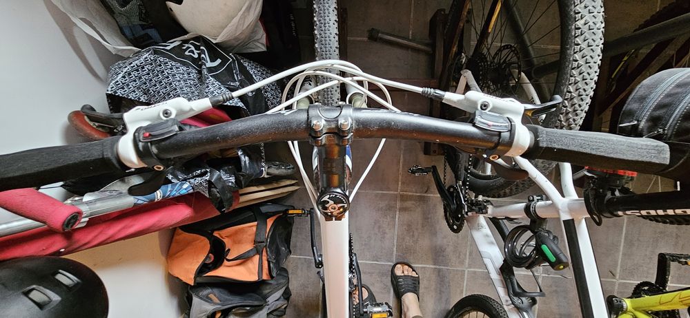 Rower MTB Wheeler Eagle XR10