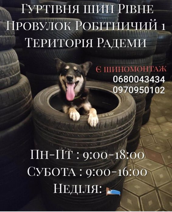 235/55R18 Michelin ePrimacy 2025рік літо