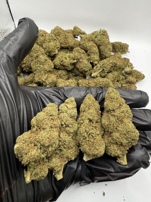 Susz CBD Indoor 1 kg OG Kush/THC< 0.3%