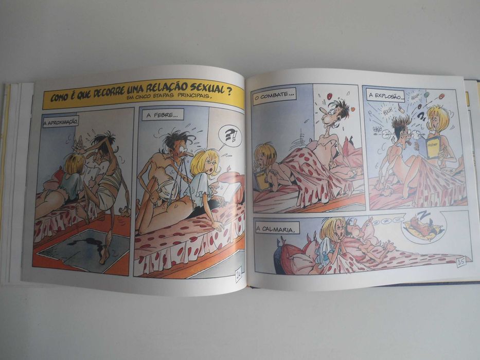 Tudo ou quase tudo sobre A Sexualidade do Homem por Goupil/Tybo