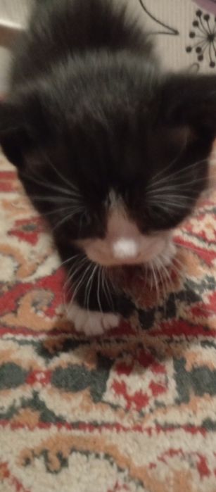 Малыш ищет дом,и семью