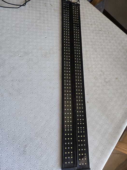 Aquario com acessorios