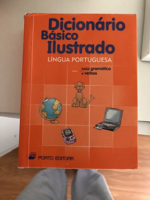 Dicionário Básico Ilustrado