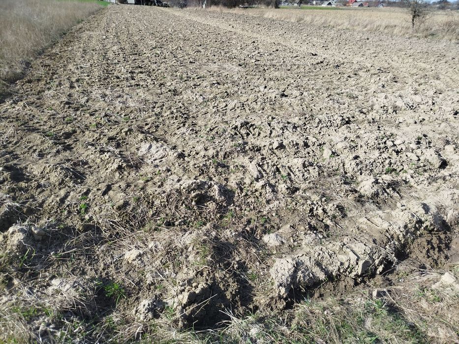 Земельну ділянку.