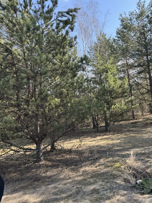 Земельна ділянка під вашу інвестицію! 24 Га! Макарів!