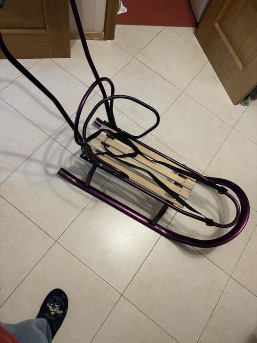 Санки дитячі TAKO